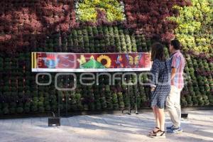 ATLIXCO . MOSAICO FLORAL