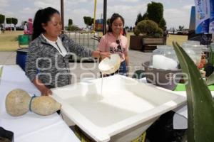 SAN ANDRÉS CHOLULA . FERIA DEL PULQUE 