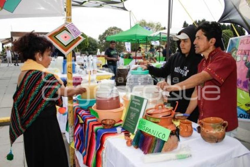 SAN ANDRÉS CHOLULA . FERIA DEL PULQUE 