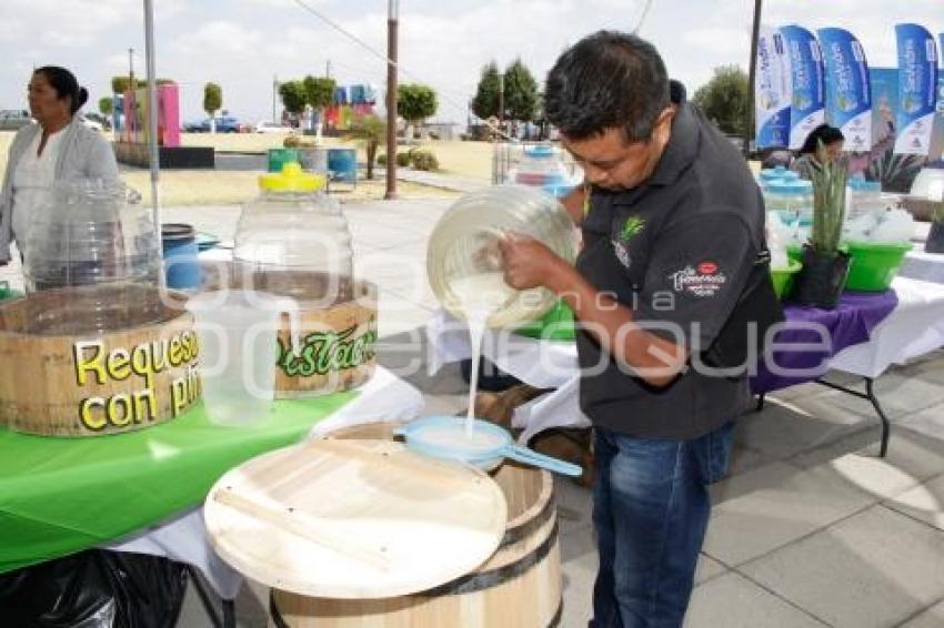 SAN ANDRÉS CHOLULA . FERIA DEL PULQUE 