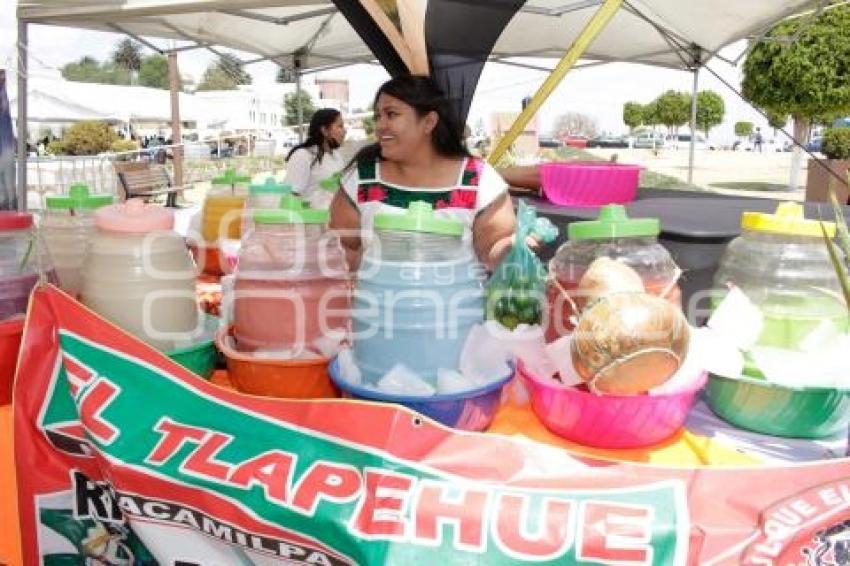 SAN ANDRÉS CHOLULA . FERIA DEL PULQUE