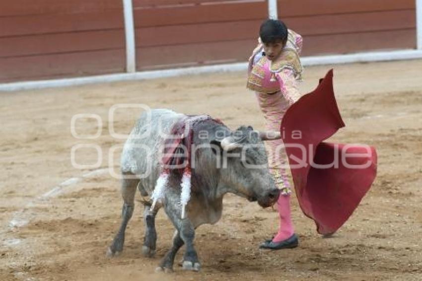 TLAXCALA . NOVILLADA