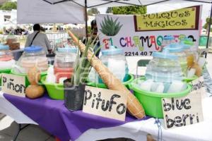 SAN ANDRÉS CHOLULA . FERIA DEL PULQUE 