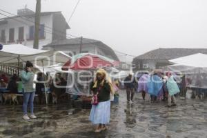 CUETZALAN . CLIMA