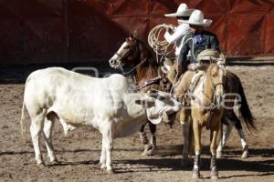 CAMPEONATO CHARRO MAYOR