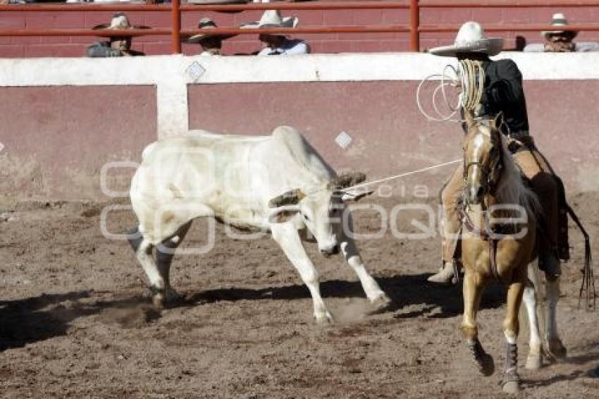 CAMPEONATO CHARRO MAYOR