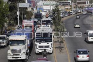 ACCIDENTE . ATROPELLADA