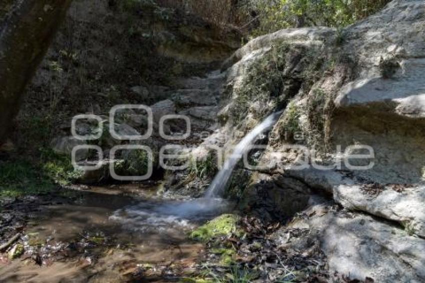 TLAXCALA . DÍA DEL AGUA