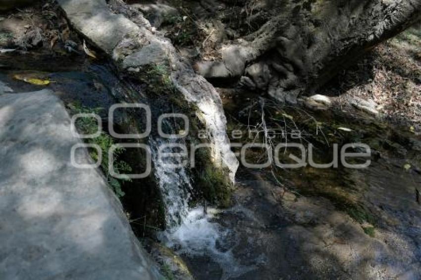 TLAXCALA . DÍA DEL AGUA