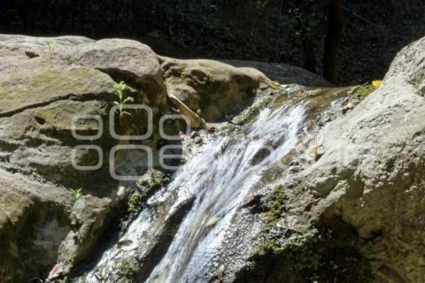 TLAXCALA . DÍA DEL AGUA