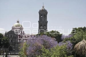 JACARANDAS