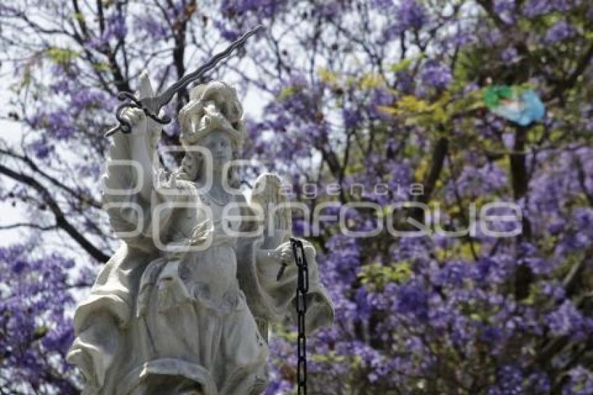 JACARANDAS