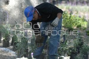 TLAXCALA . REHABILITACIÓN ÁREAS VERDES