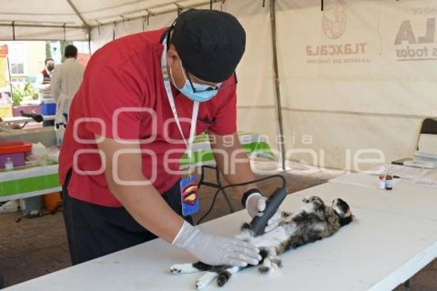 TLAXCALA . VACUNACIÓN ANTIRRÁBICA