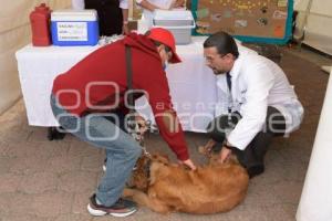 TLAXCALA .  VACUNACIÓN ANTIRRÁBICA