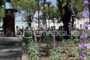 TLAXCALA . REHABILITACIÓN ÁREAS VERDES