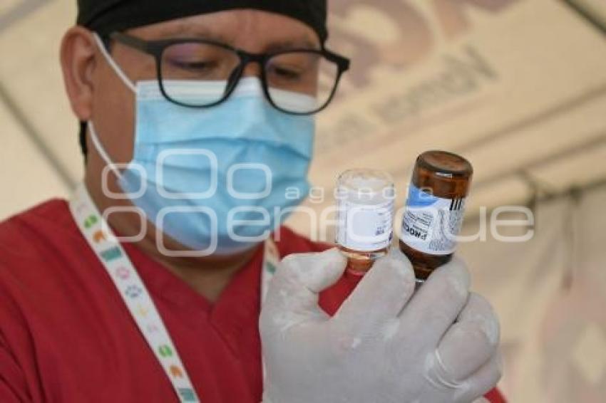 TLAXCALA . VACUNACIÓN ANTIRRÁBICA