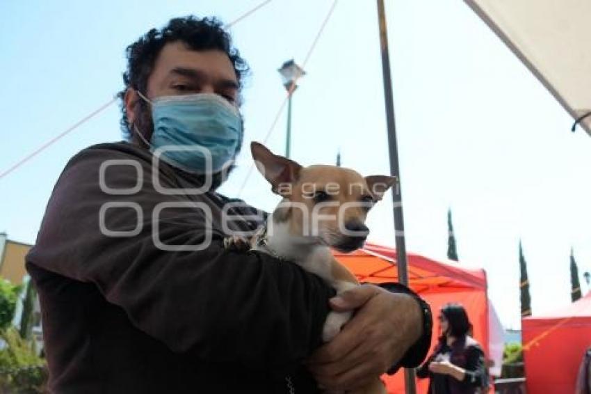 TLAXCALA . VACUNACIÓN ANTIRRÁBICA