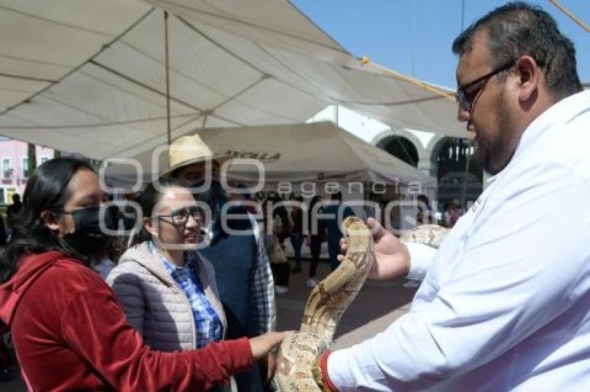 TLAXCALA . VACUNACIÓN ANTIRRÁBICA