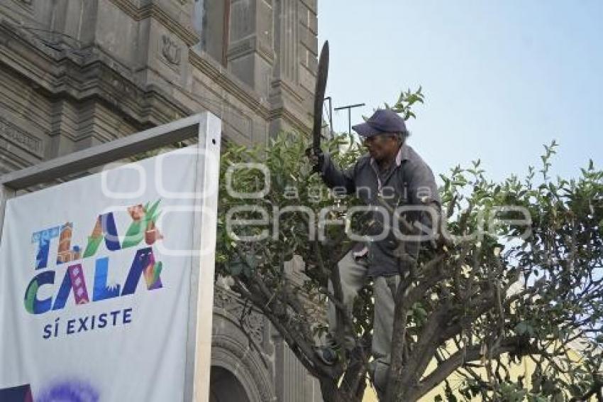 TLAXCALA . PODA ÁRBOLES