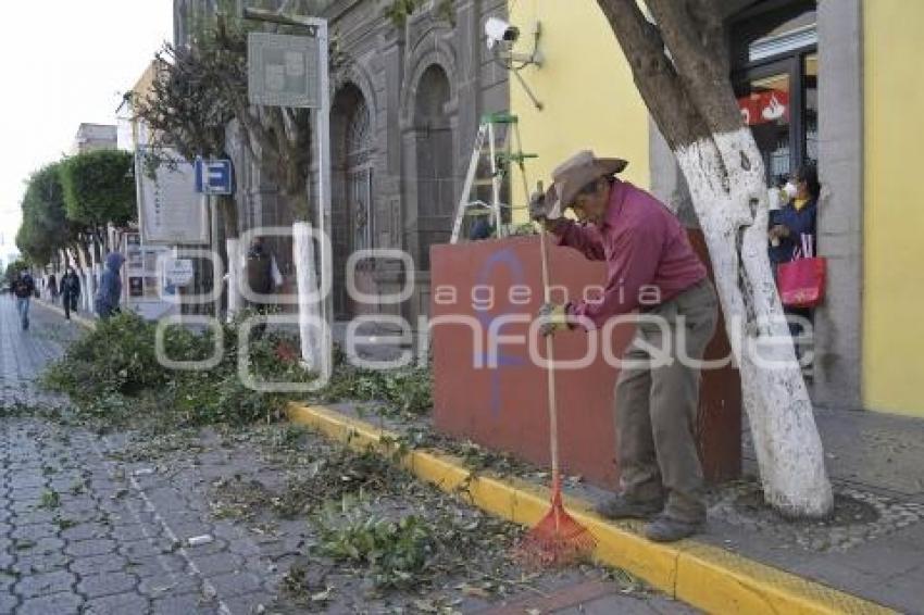 TLAXCALA . PODA ÁRBOLES