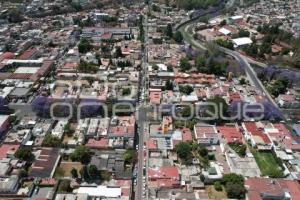 TLAXCALA . JACARANDAS