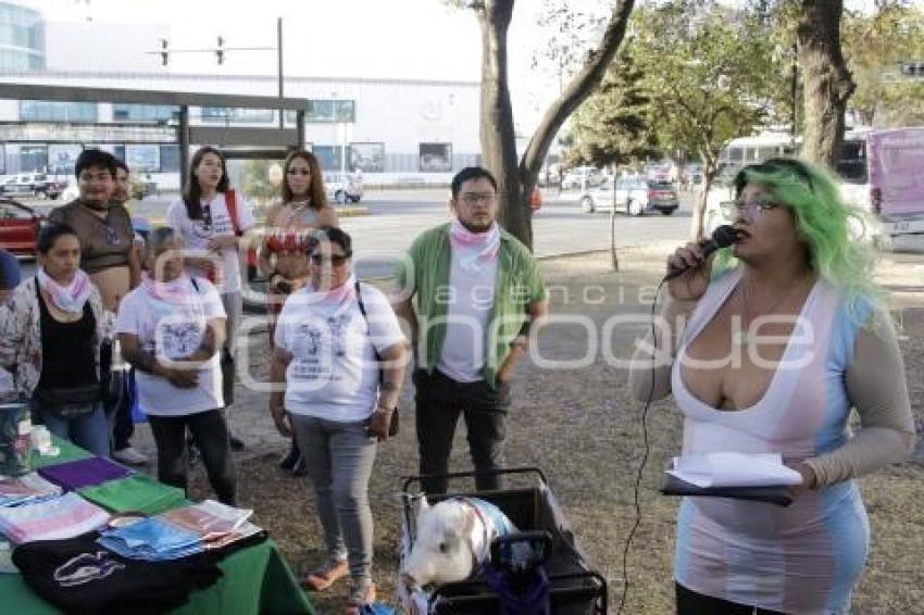 MARCHA VISIBILIDAD TRANS