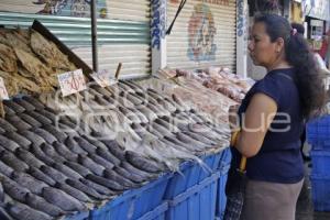 PESCADOS Y MARISCOS