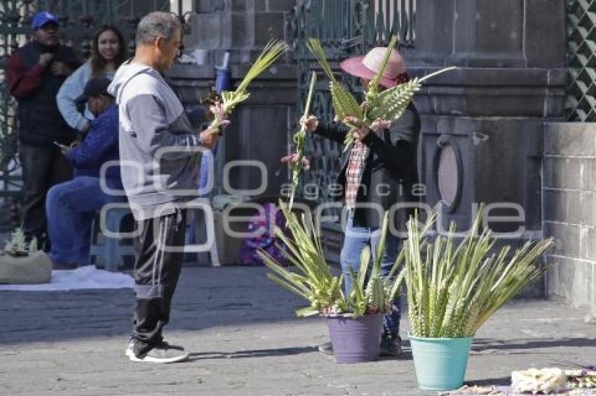 DOMINGO DE RAMOS . PALMAS