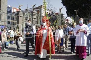 PROCESIÓN DE PALMAS