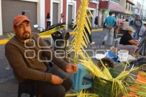 ATLIXCO . ARTESANOS DE PALMAS