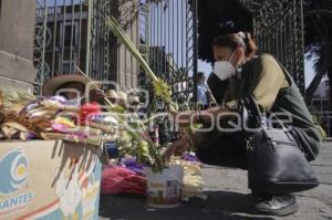 DOMINGO DE RAMOS . PALMAS