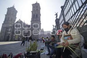 DOMINGO DE RAMOS . PALMAS