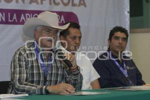 TLAXCALA . CONGRESO APÍCOLA