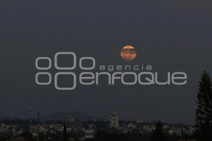 LUNA ROSA