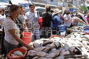 PESCADOS Y MARISCOS