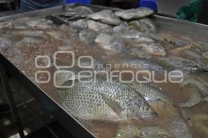 TLAXCALA . VENTA PESCADOS Y MARISCOS