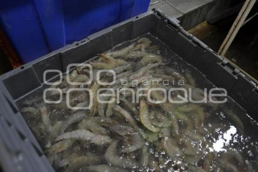 TLAXCALA . VENTA PESCADOS Y MARISCOS