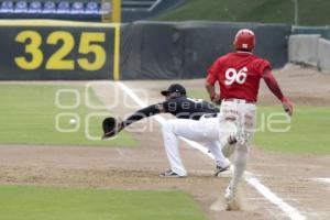 BÉISBOL . ÁGUILA VS TOROS