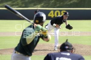 BÉISBOL . PERICOS VS TOROS