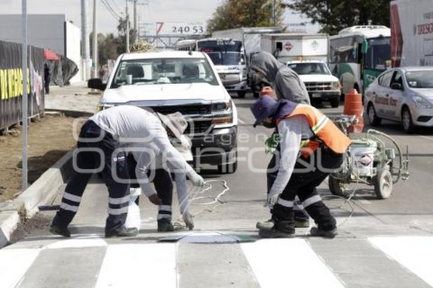 PASO PEATONAL