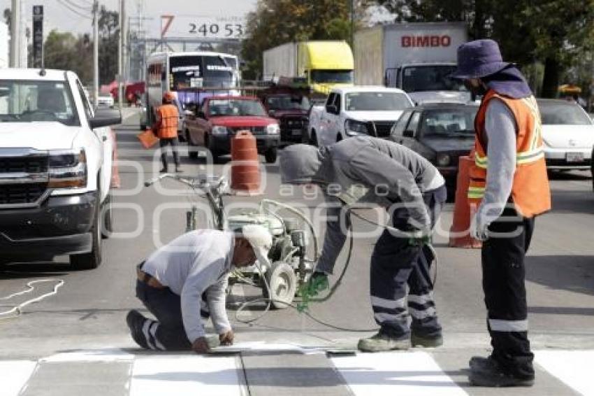 PASO PEATONAL