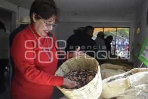 TLAXCALA . FONDO SEMILLAS CREATIVAS