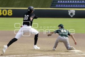 BÉISBOL . PERICOS VS TOROS