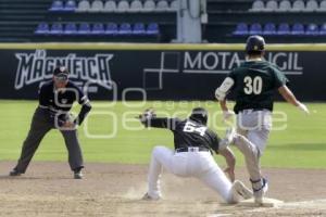 BÉISBOL . PERICOS VS TOROS