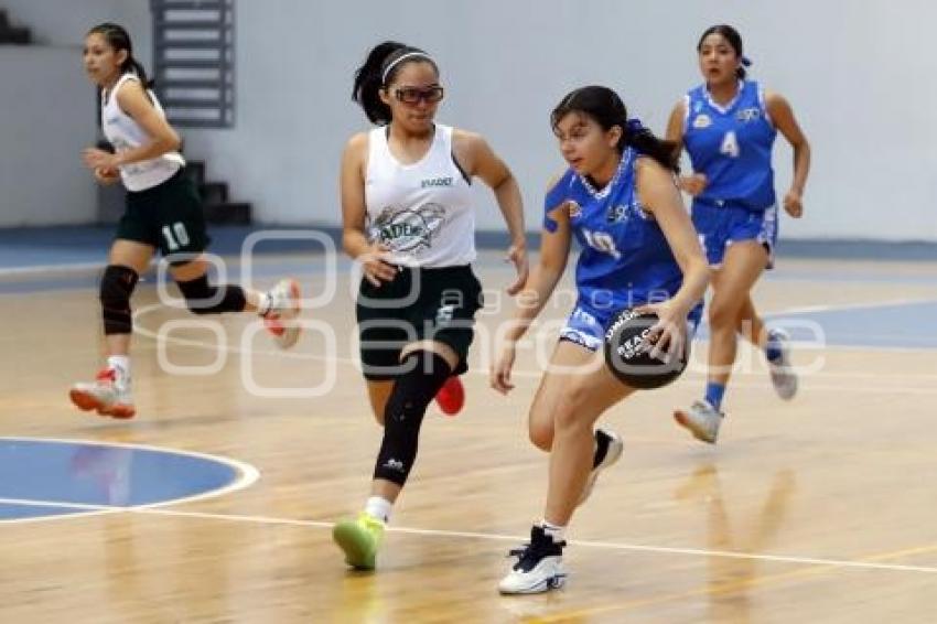 CAMPEONATO NACIONAL DE BASQUETBOL