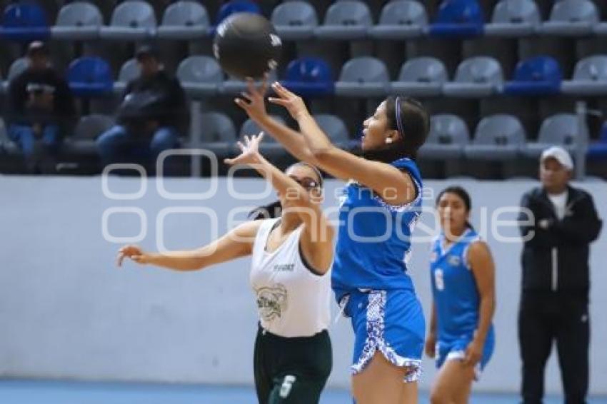 CAMPEONATO NACIONAL DE BASQUETBOL