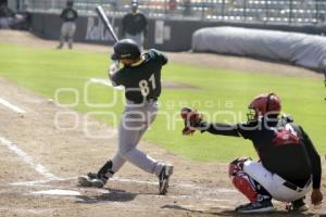 BÉISBOL . PERICOS VS TOROS