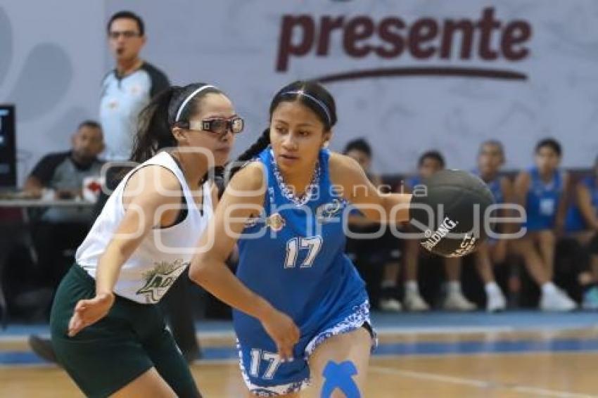 CAMPEONATO NACIONAL DE BASQUETBOL