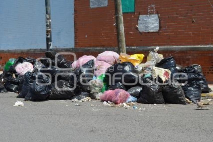 TEHUACÁN . BASURA